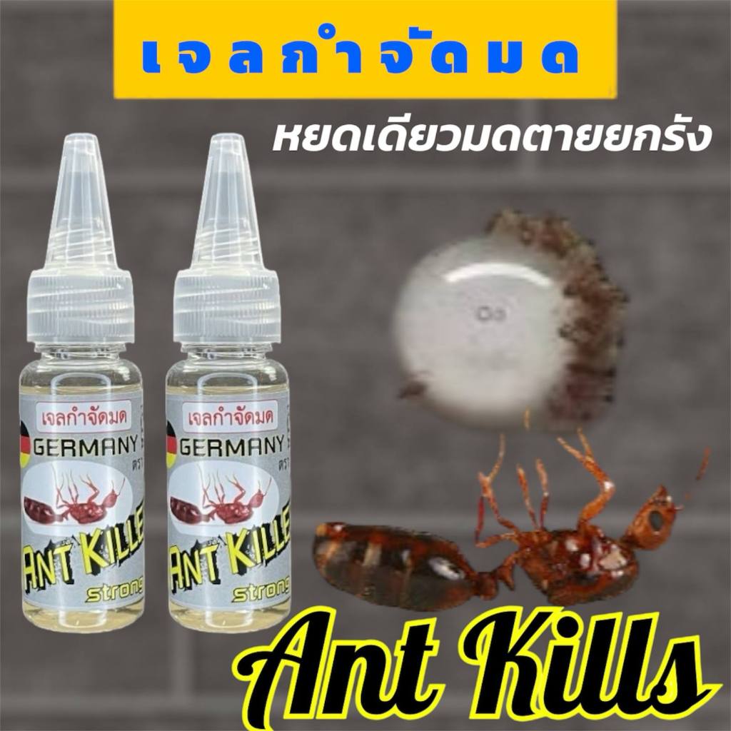 2ขวด เจลกำจัดมด Ant Killer 25กรัม กำจัดยกรัง แบบขวดใช้ง่าย สามารถหยดได้ทุกที่ ในห้องนอน ในรถ ปลอดภัย
