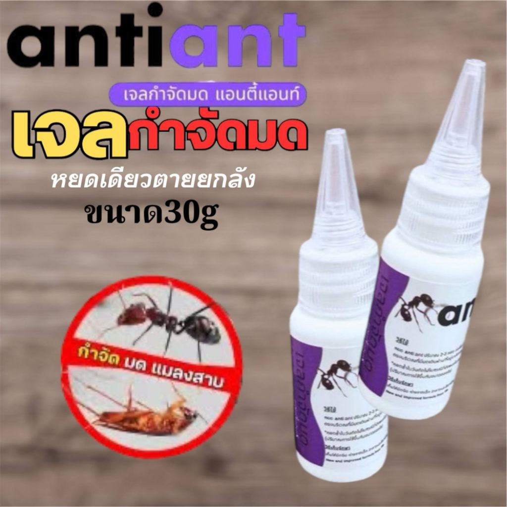 จำนวน2ขวด แอนตี้แอนท์ เหยื่อกำจัดมดทุกสายพันธุ์ 30กรัม ในห้อง ในรถ ในครัว ใช้ได้ทุกพื้นที่ในบ้าน