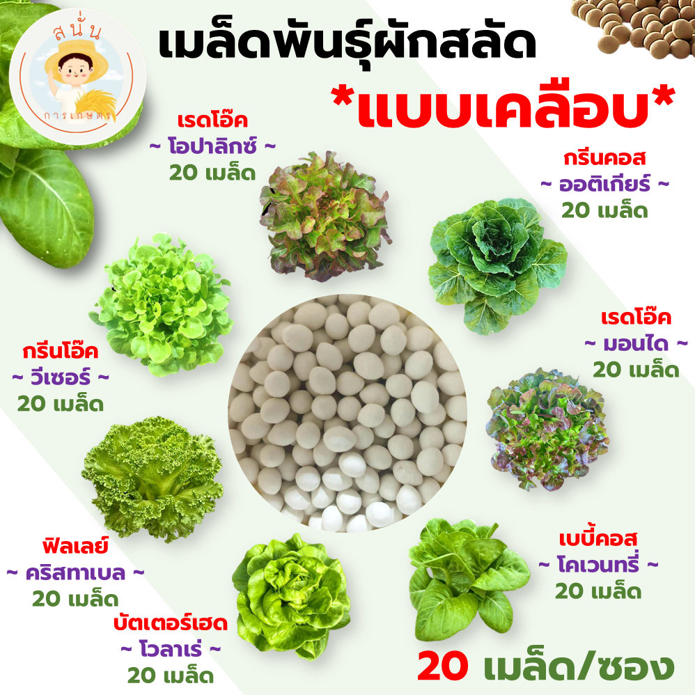 เมล็ดพันธุ์ผัก กรีนโอ๊ค เรดโอ๊ค เบบี้คอส ฟิลเลย์ บัตเตอร์เฮด กรีนคอส เมล็ดเคลือบ นำเข้าตรงสายพันธุ์