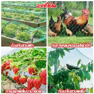 ตาข่าย อวนล้อมไก่ กันนก รั้วตาข่าย ตะข่ายล้อมไก่ ตาข่ายล้อมไก่ อวน ดาง ล้อมไก่ อเนกประสงค์ กรงไก่ เลี้ยงไก่ กันงู กันนก