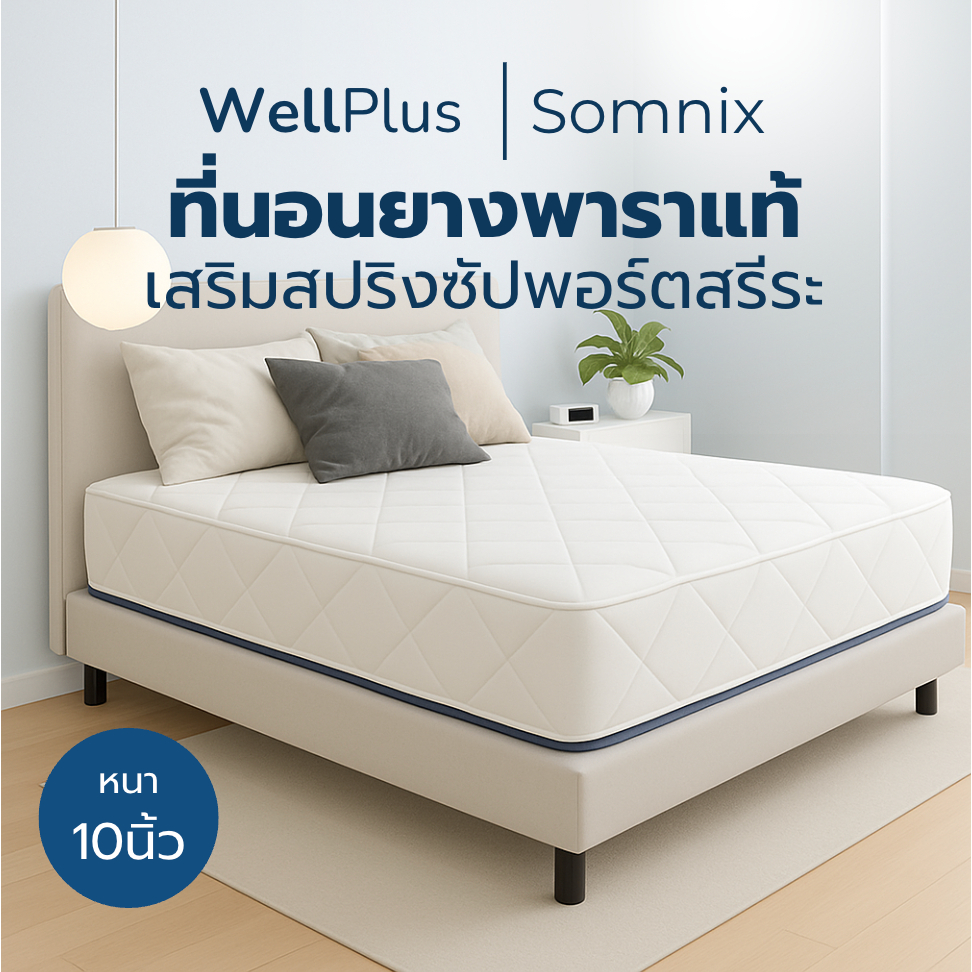 WellPlus ที่นอนยางพาราแท้เสริมสปริงพรีเมียม รุ่น Somnix หนา 10 นิ้ว โครงสร้างแข็งแรง นุ่มเด้งนอนสบาย รองรับน้ำหนักได้ดี