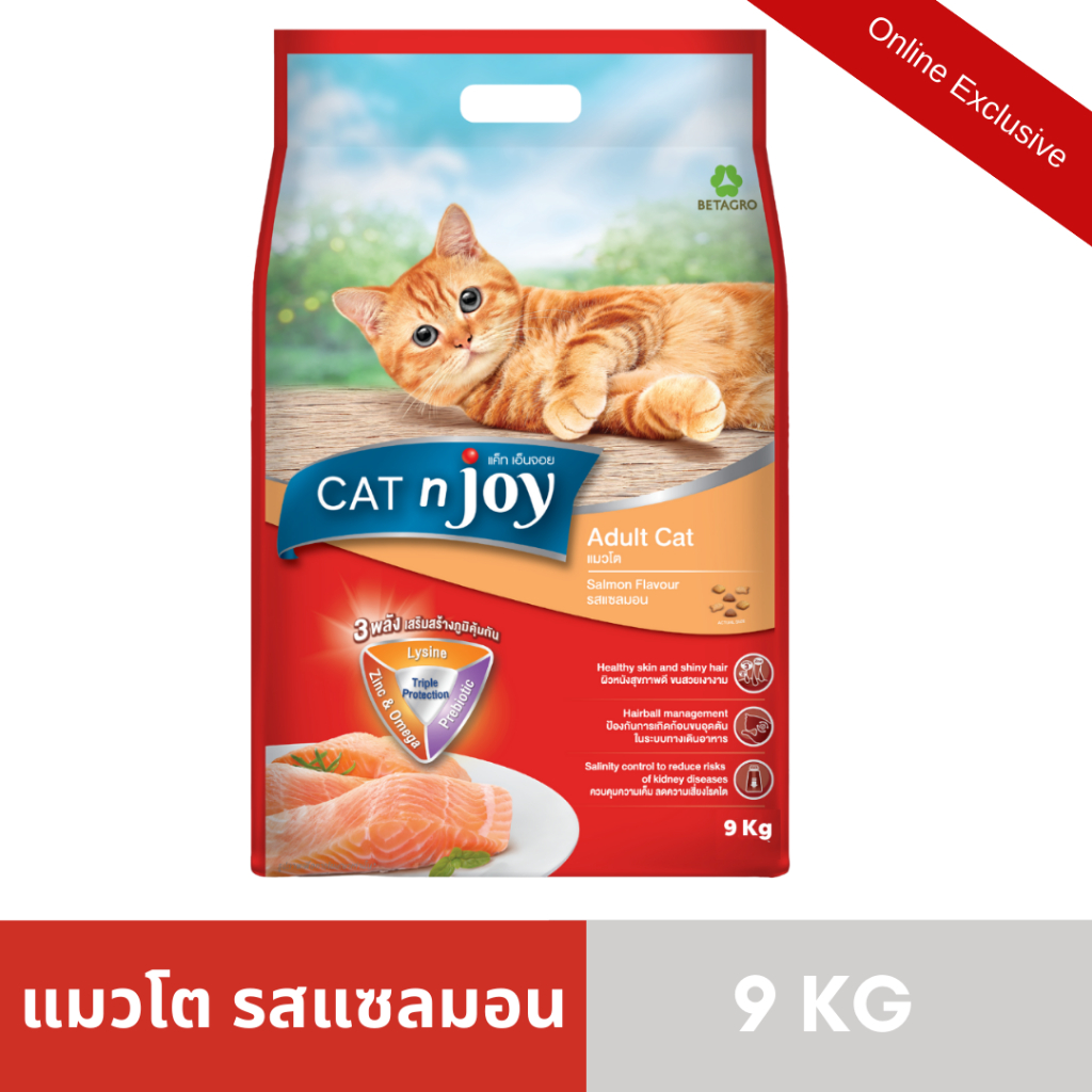 Cat n joy Triple Protection อาหารแมว รสแซลมอน ขนาด 9 kg