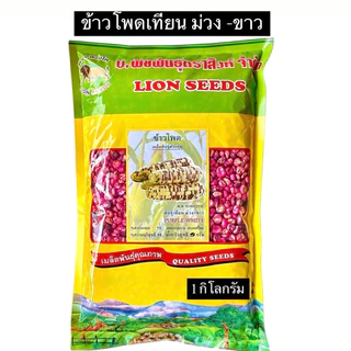 สิงโต เมล็ด ข้าวโพด ขาวปุ้มปุ้ย,เทียนดำ,ข้าวโพดเทียนม่วง-ขาว,เทียน3สี,เทียนเหลือง,เทียนขาว,แปดแถว,สวีท (1 กิโลกรัม)