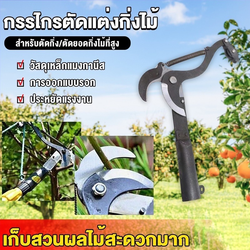 ปลีก/ส่ง กรรไกรตัดกิ่งไม้สูง ตัดแต่งสวน ตัดแต่งผลไม้ ตัดแต่งกิ่งไม้ ประหยัดเวลาและแรงมีเชือกรูด ไม่มีเสา