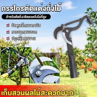 ปลีก/ส่ง กรรไกรตัดกิ่งไม้สูง ตัดแต่งสวน ตัดแต่งผลไม้ ตัดแต่งกิ่งไม้ ประหยัดเวลาและแรงมีเชือกรูด ไม่มีเสา
