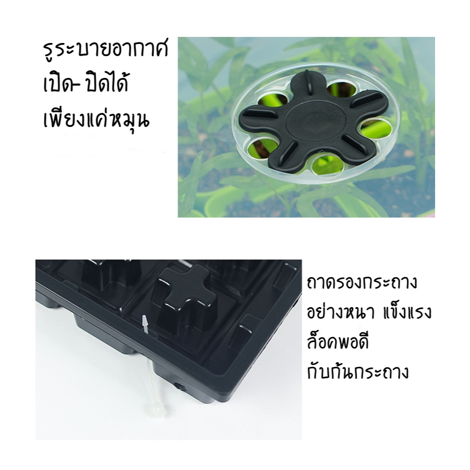 ชุดกล่องเพาะเมล็ด 12 กระถาง Seed Starter Tray ราคา ถูกที่สุด ดีลบีเคเค แกลเลอรีภาพที่ 6