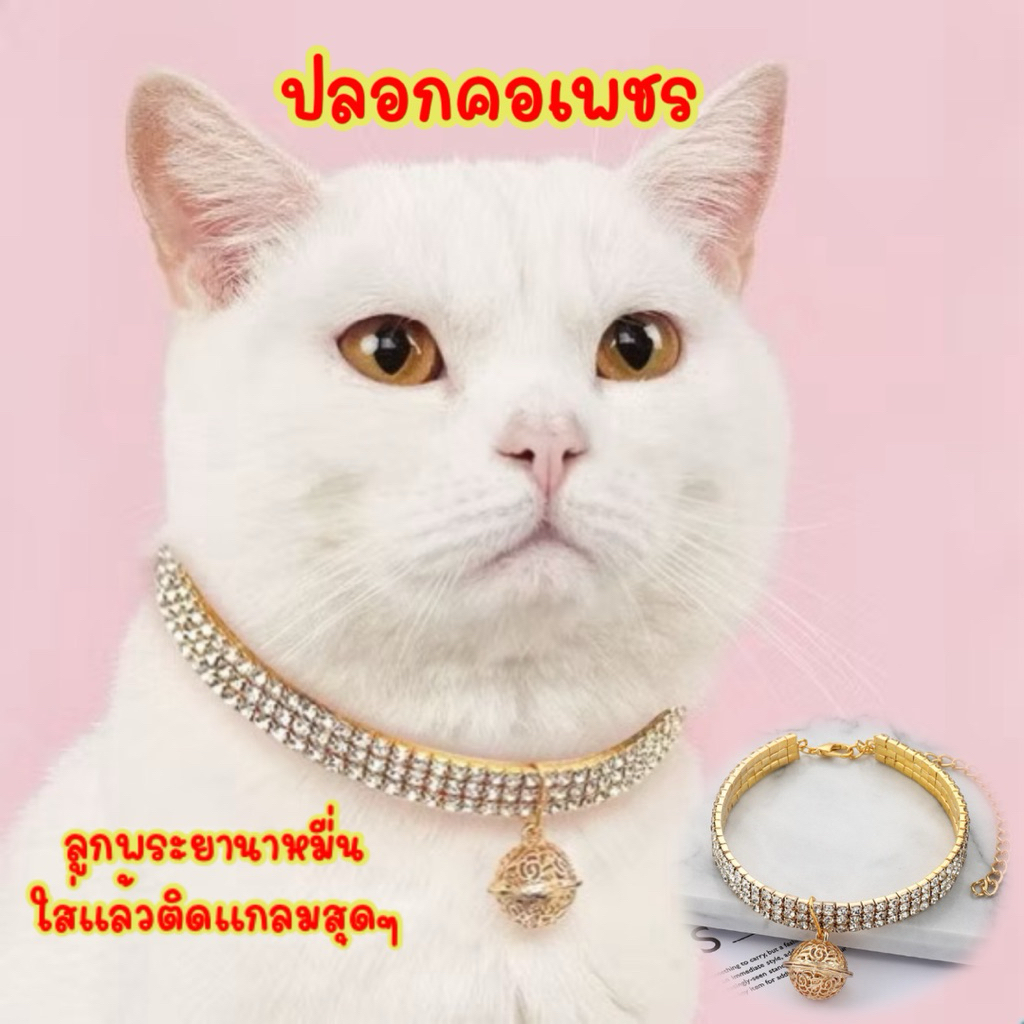 (L13)(เล่นไฟตาแตก)ปลอกคอแบบ Luxury ใส่ได้ทั้งน้องหมาและน้องแมว ไฮโซสุด