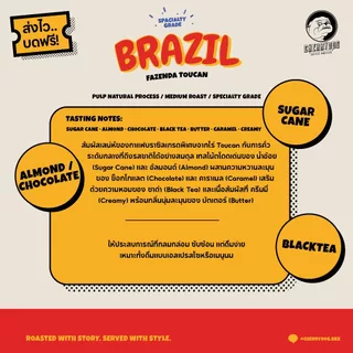 Cherrydog | เมล็ดกาแฟคั่วกลาง บราซิล Brazil Fazenda Toucan 200g-1kg. Specialty grade | อราบิก้า100%