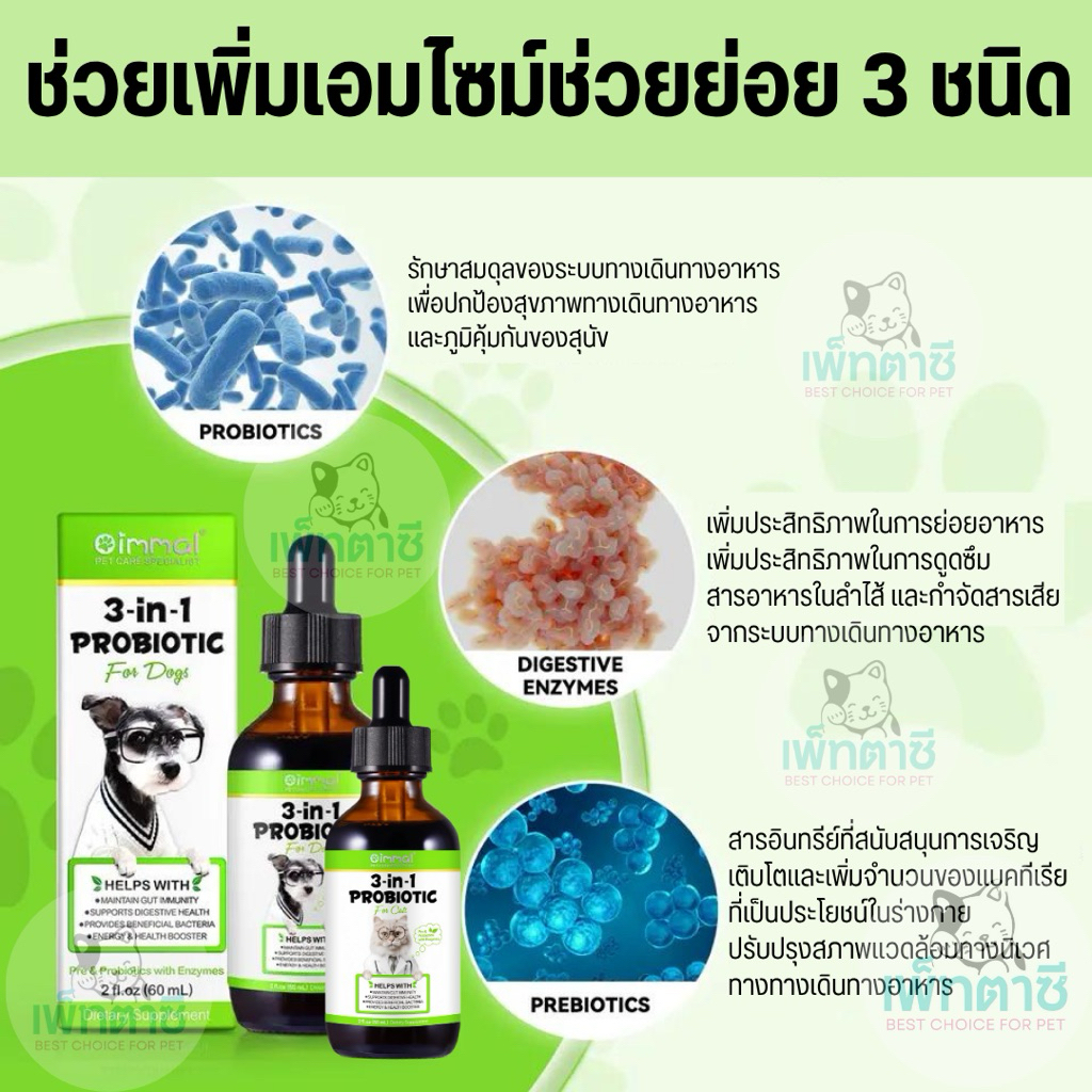 รูปภาพ 2