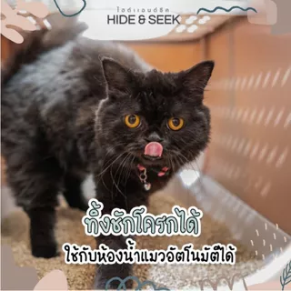 Hide & Seek ทรายแมว ทรายแมวมันสำปะหลัง ไฮด์แอนด์ซีค ปลอดภัยไร้ฝุ่น [ ขนาด 18ปอนด์ ]
