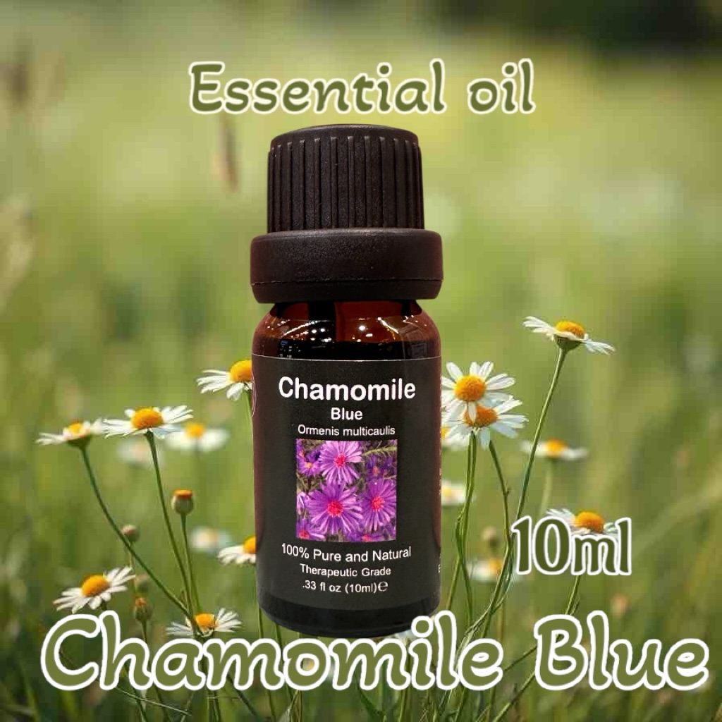 Chamomile Blue oil 10 ml