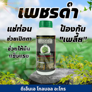 ⚫️เพชรดำ(สตองเกอร์)แช่ท่อนพันธุ์มัน เร่งการแตกราก#ฉีดพ่นในไร่มันป้องกันเพลี้ยแป้ง#เร่งใบมันวาว #ขนาด500ซีซี