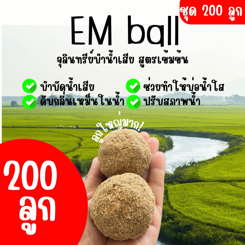 Em ball บำบัดน้ำเสีย ช่วยดับกลิ่นเหม็นจากน้ำเน่า แก้ปัญหาน้ำเน่าเสีย ตัวช่วยทำให้น้ำใส (200ลูก)