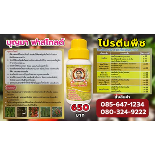 บุญมาฟาสโกลด์ อาหารเสริมสำหรับพืช