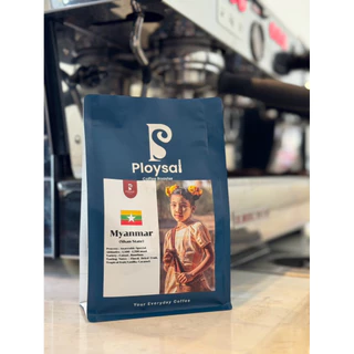 เมล็ดกาแฟพม่า รัฐฉาน Myanmar Anaerobic Natural Specialty