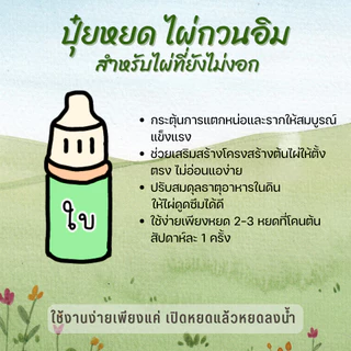 ปุ๋ยบำรุง สำหรับ ไผ่กวนอิม – บำรุง ครบทั้งราก ใบ และลำต้น