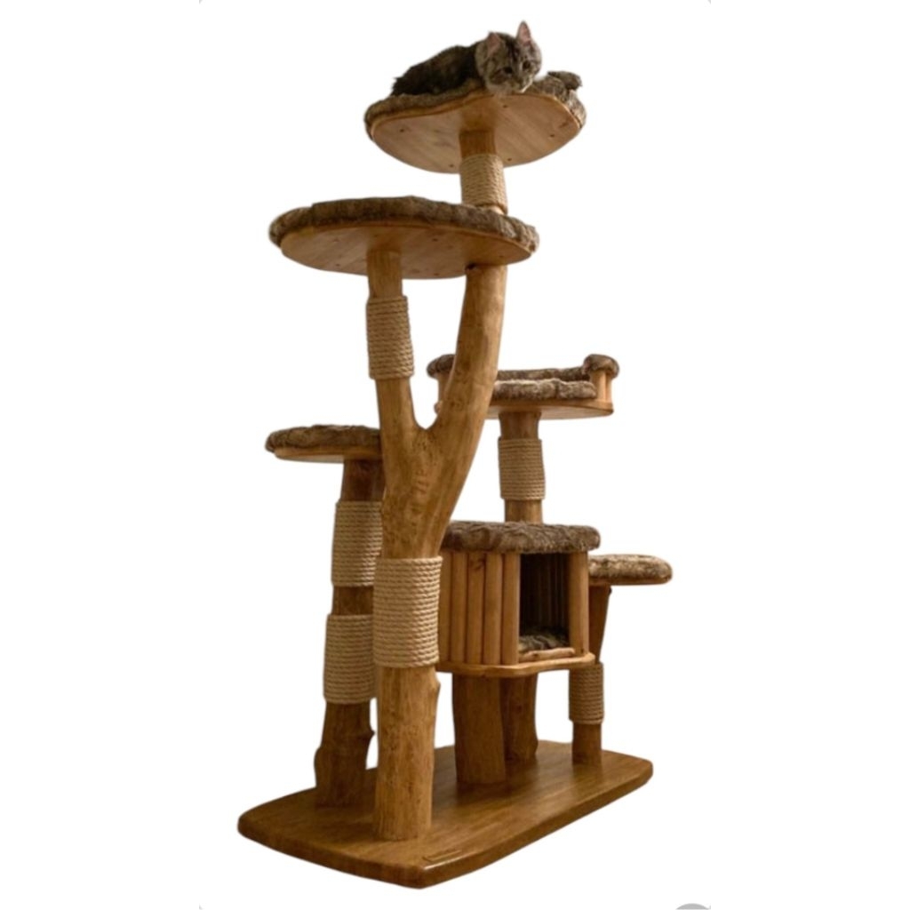 Large cat tree (Maine Coon)