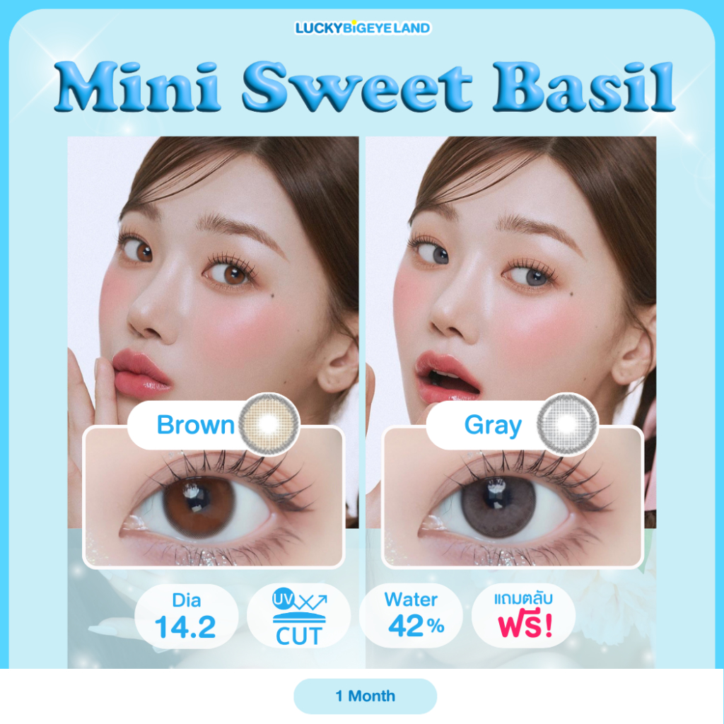 คอนแทคเลนส์ Mini Sweet Basil Gray / Brown (Lovely) ขนาดมินิ 💙