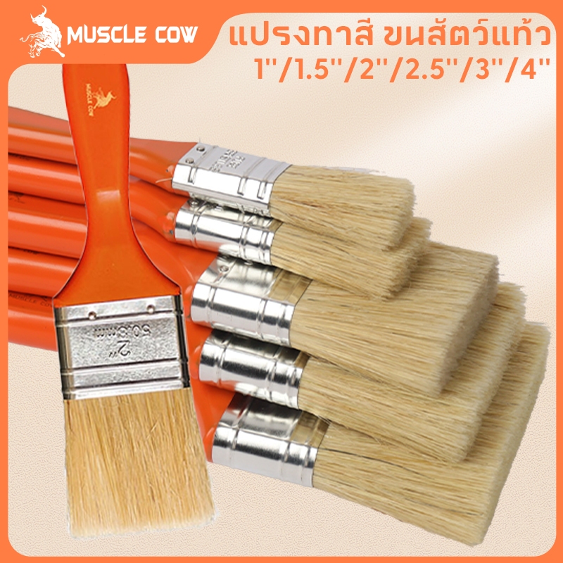 MUSCLE COW (ยกกล่อง 12 ชิ้น) แปรงทาวานิช แปรงทายูรีเทน แปรงขนอ่อน ขนาด 1 / 1.5 / 2 / 2.5 / 3 / 4 นิ้ว