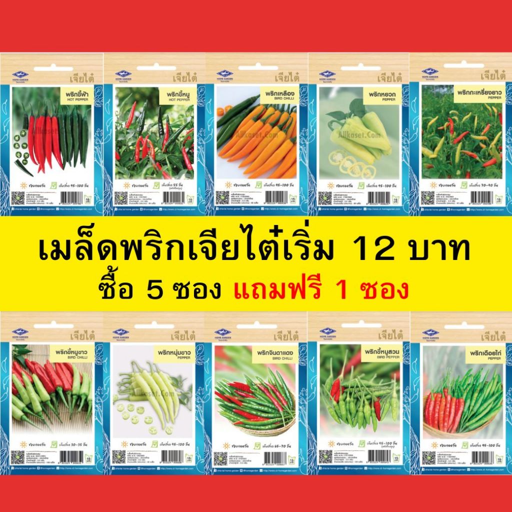 เมล็ดพริก เจียไต๋ เริ่มซองละ 12 บาท ซื้อ 5 ซอง แถมฟรี 1 ซอง