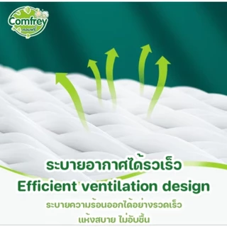 ผ้าอ้อมผู้ใหญ่แบบกางเกง Comfrey