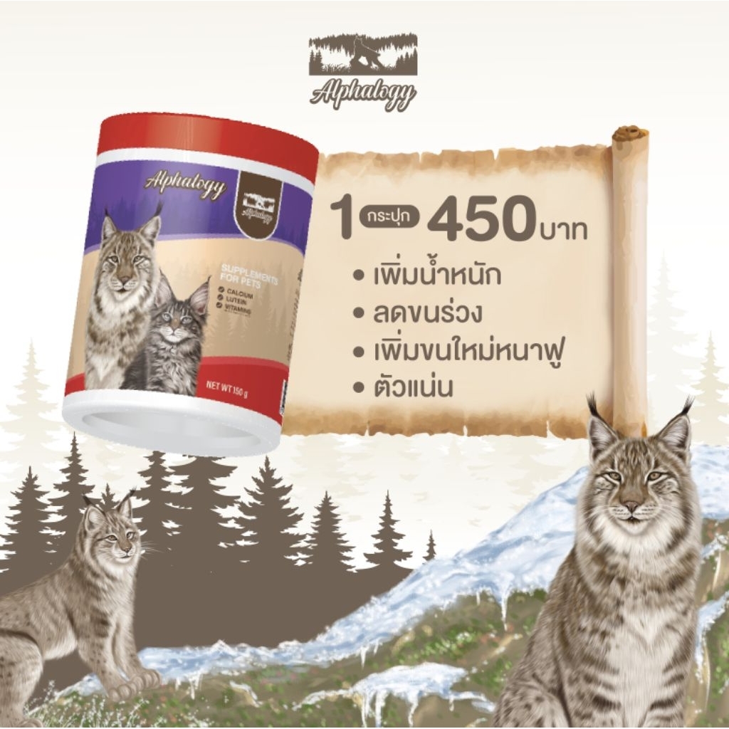 Alphalogy อาหารเสริมแมว 1 กระปุก ตัวเเน่น ลดขนร่วง สร้างขนใหม่ฟูหนา