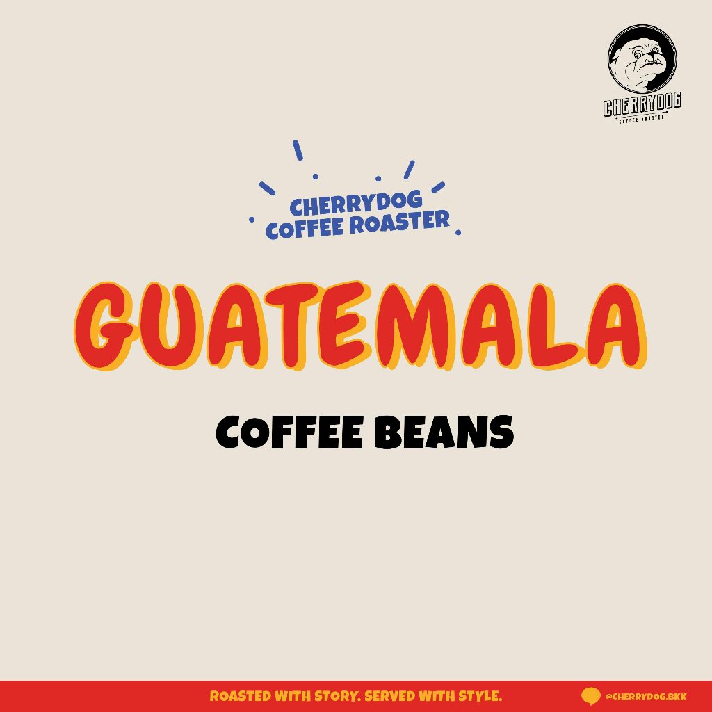 Cherrydog | เมล็ดกาแฟคั่วอ่อนจาก ประเทศ กัลเตมาลา Guatemala | Single Origin (Filter) | อาราบิก้า100%