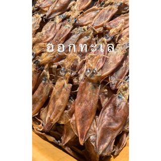 หมึกกะตอยไข่ ตัวใหญ่ ออร์แกนิค ทำแบบธรรมชาติ เนื้อจะมันๆๆ กิ…