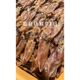 หมึกกะตอยไข่-(ใหญ่) ออร์แกนิค ทำแบบธรรมชาติ เนื้อจะมันๆๆ กินกับแกง อร่อยมาก