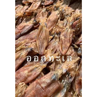 หมึกกะตอยไข่-(ใหญ่) ออร์แกนิค ทำแบบธรรมชาติ เนื้อจะมันๆๆ กินกับแกง อร่อยมาก