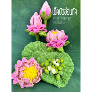 เม็ดบัวสด เม็ดบัวปอกเปลือก พร้อมทาน