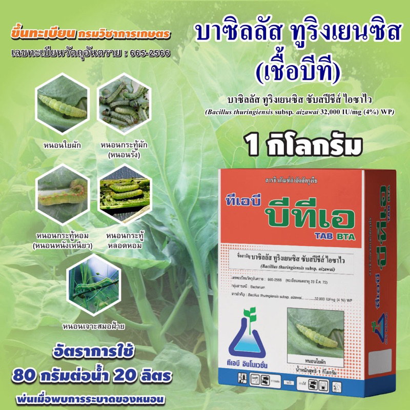 ทีเอบี บีทีเอ ขนาด 1 กก. 1 กล่อง A เชื้อบีที บาซิลลัส ทูริงเยนซิส Bacillus thuringiensis (BTA)