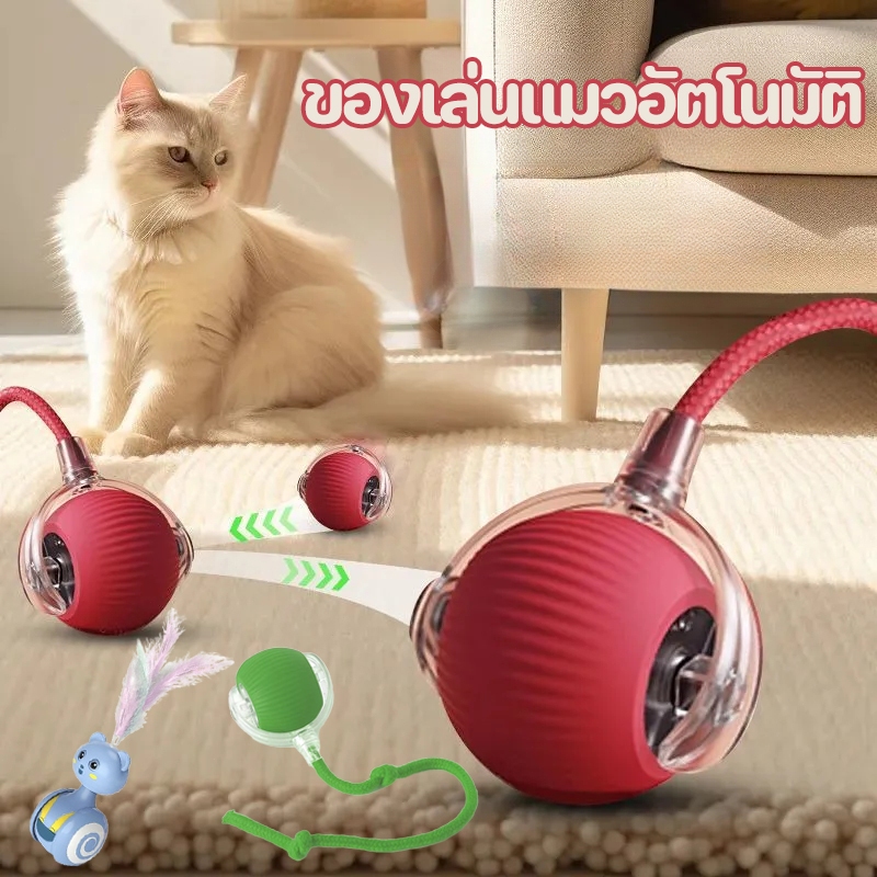 พร้อมส่ง! ของเล่นแมวอัตโนมัติ ไล่ล่าของเล่นขนนก ของเล่นแมวตลก เพื่อนเล่นแสนสนุกสำหรับแมวของคุณ