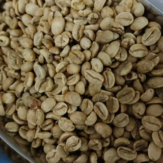 สารหมักรัม (RUM fermented coffee )