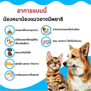 [สินค้าขายดีอันดับ1] ยาหยอดเห็บและหมัด Frontguard Plus ฟรอนการ์ด พลัส สำหรับสุนัขและแมว