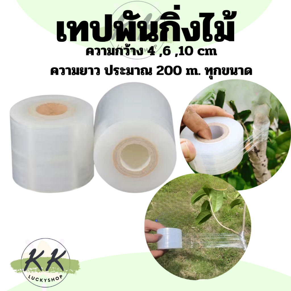 ฟิล์มยืดไซส์ตัด เทปพันกิ่งทาบ แลปพลาสติก อุปกรณ์ตอนกิ่ง ยาว 200 เมตร หน้ากว้าง  4,6,10 ซม.หนา20 ไมครอน