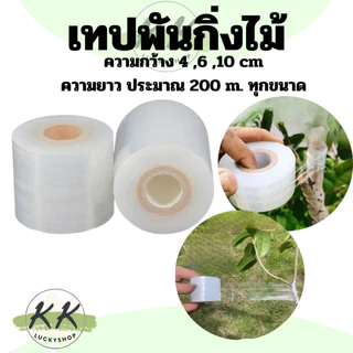 ฟิล์มยืดไซส์ตัด เทปพันกิ่งทาบ แลปพลาสติก ยาว 200 เมตร หน้ากว้าง 4,6,10 ซม.หนา20 ไมครอน
