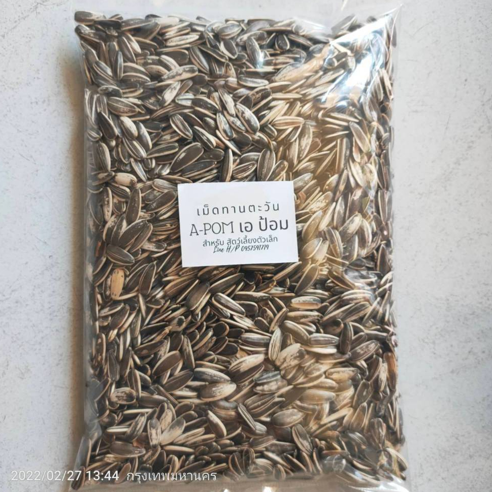 เม็ดทานตะวัน เอป้อม 0.5 kg. สำหรับนก เม็ดใหญ่ คัดเกรด สะอาด เหมาะสำหรับสัตว์ฟันแทะ นก นกแก้ว กระต่าย กระรอก