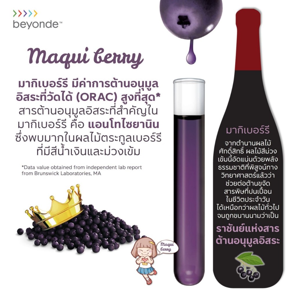 ล๊อตใหม่ 📢 บียอนด์ มากิพลัส (แบบขวด) 1 ดูโอ ( 750 มล. x 2 ขวด ) beyonde Maqui Plus มากิพลัสแบบขวด ULIFE ต้านอนุมูลอิสระ - รูปที่ 5