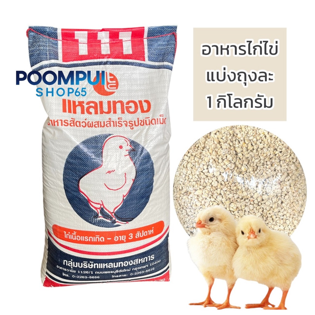 อาการไก่แรกเกิด ยี่ห้อแหลมทอง โปรตีน 21% แบ่งขาย
