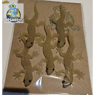 จิ้งจกปลอมจากยางพารา S2 🦎🦎🦎🦎🦎