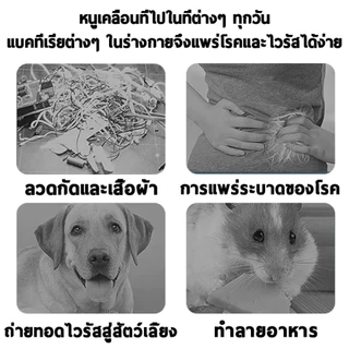 NP-980 ลูกเหม็นไล่หนู 5 เม็ด / 40 กรัม ต่อถุง ยาสมุนไพรไล่หนู/ลูกเหม็นไล่หนู ไล่หนู เบือหนู แรงๆ แห้ง