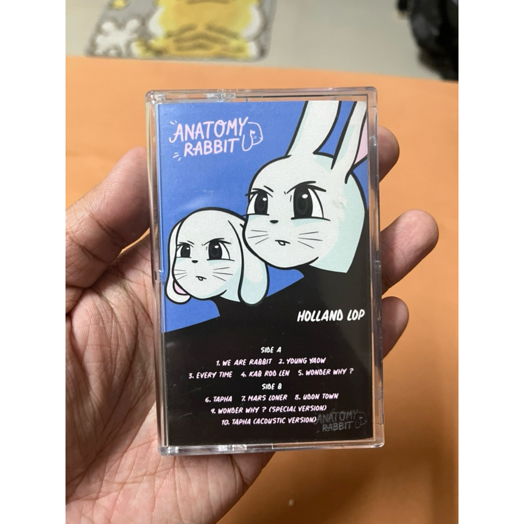 เทป Anatomy rabbit Holland lop