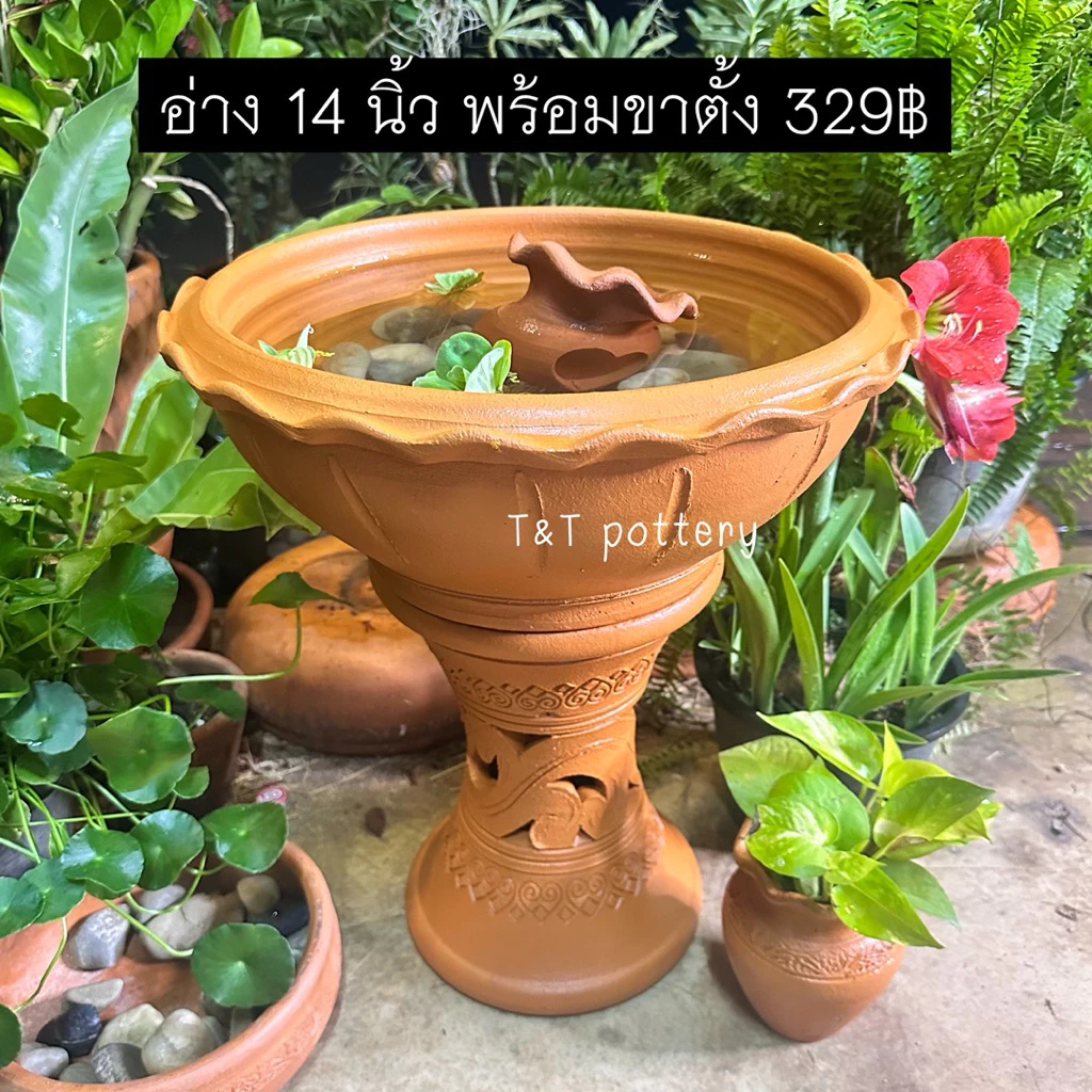 T329 <ชุดใหม่> อ่าง 14 นิ้ว พร้อมขาตั้ง อ่างเลี้ยงปลา ปลูกต้นไม้ (อ่างปากหยัก ทรงกระถาง)