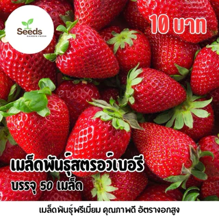 เมล็ดพันธุ์สตรอว์เบอร์รี บรรจุ 50 เมล็ด/ซอง