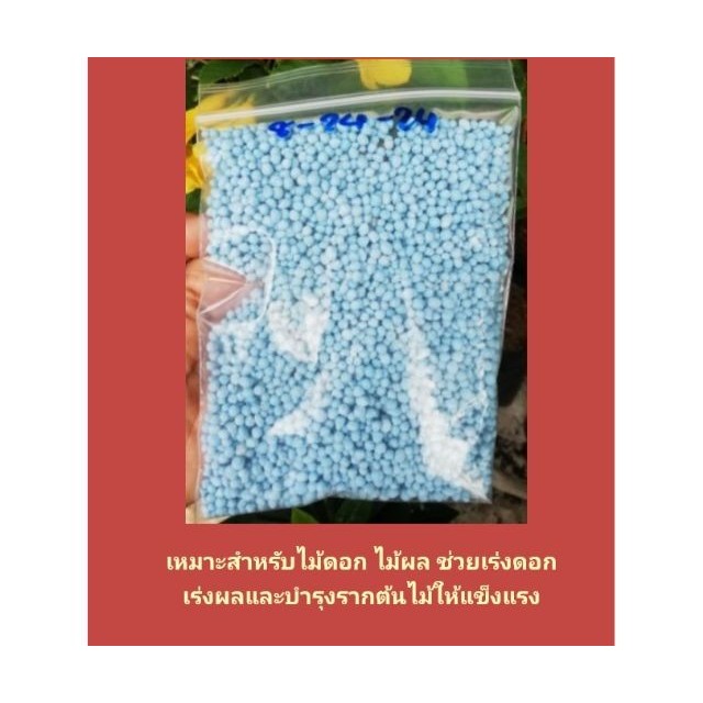 ปุ๋ยสูตร​ 8-24-24​ สูตรเร่งดอก​ ขนาด​ 150​ กรัม​ ราคา​ 15​ บาทค่ะ**สินค้าขายดี**