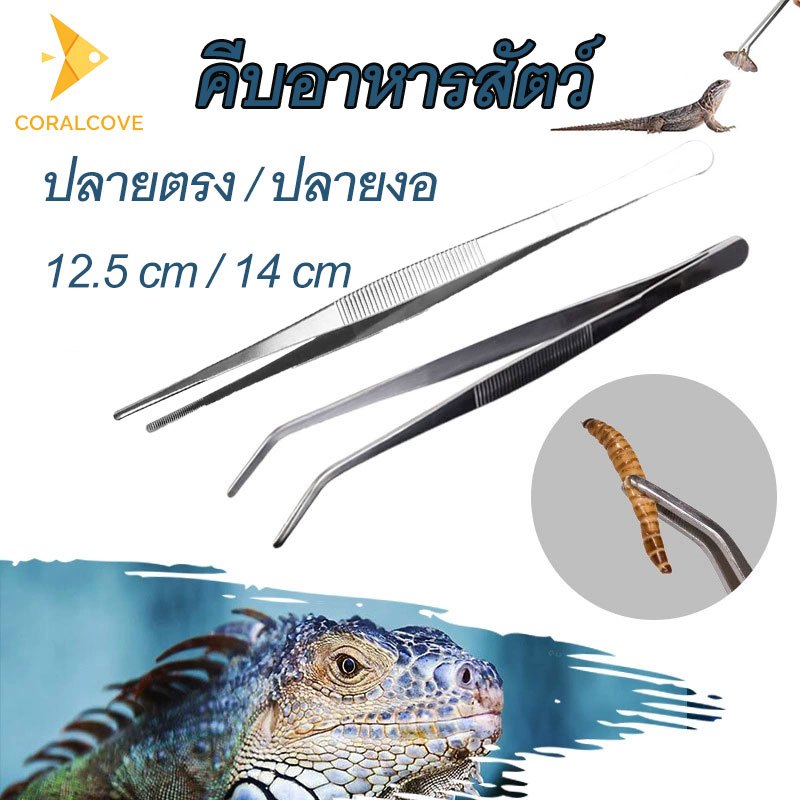 coralcoveshop ฟอร์เซป ที่คีบ Tweezers สแตนเลส สำหรับสัตว์เลื้อยคลาน คีบอาหารสัตว์ คีบอาหาร
