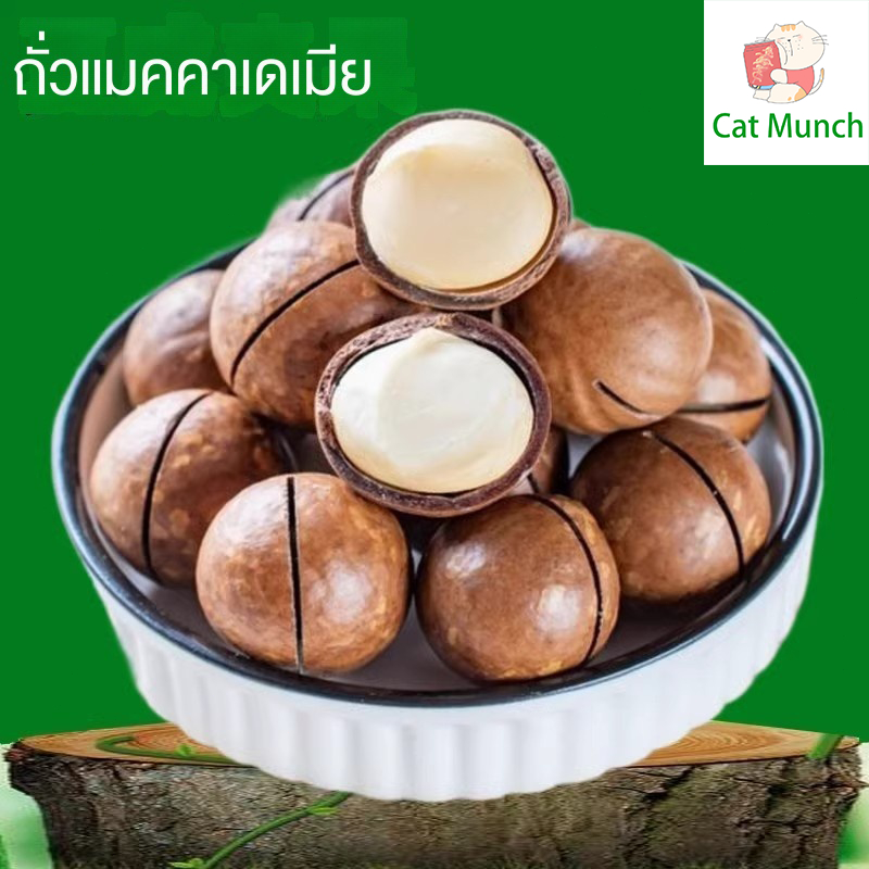 แมคคาเดเมีย 500g รสเนยแท้ MACCA S แมคคาเดเมียเม็ดใหญ่ อบกรอบมันส์