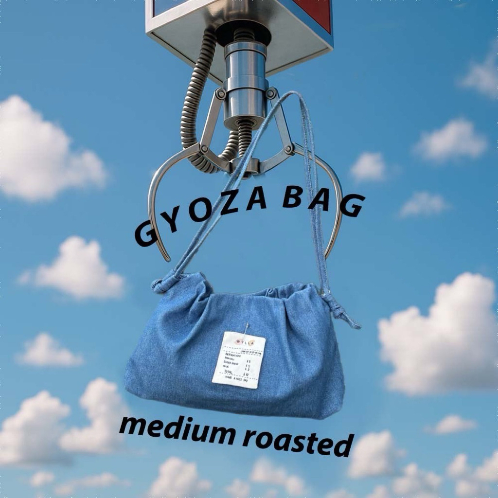 Wyllabrand กระเป๋าผ้า Medium Roasted Gyoza Bag