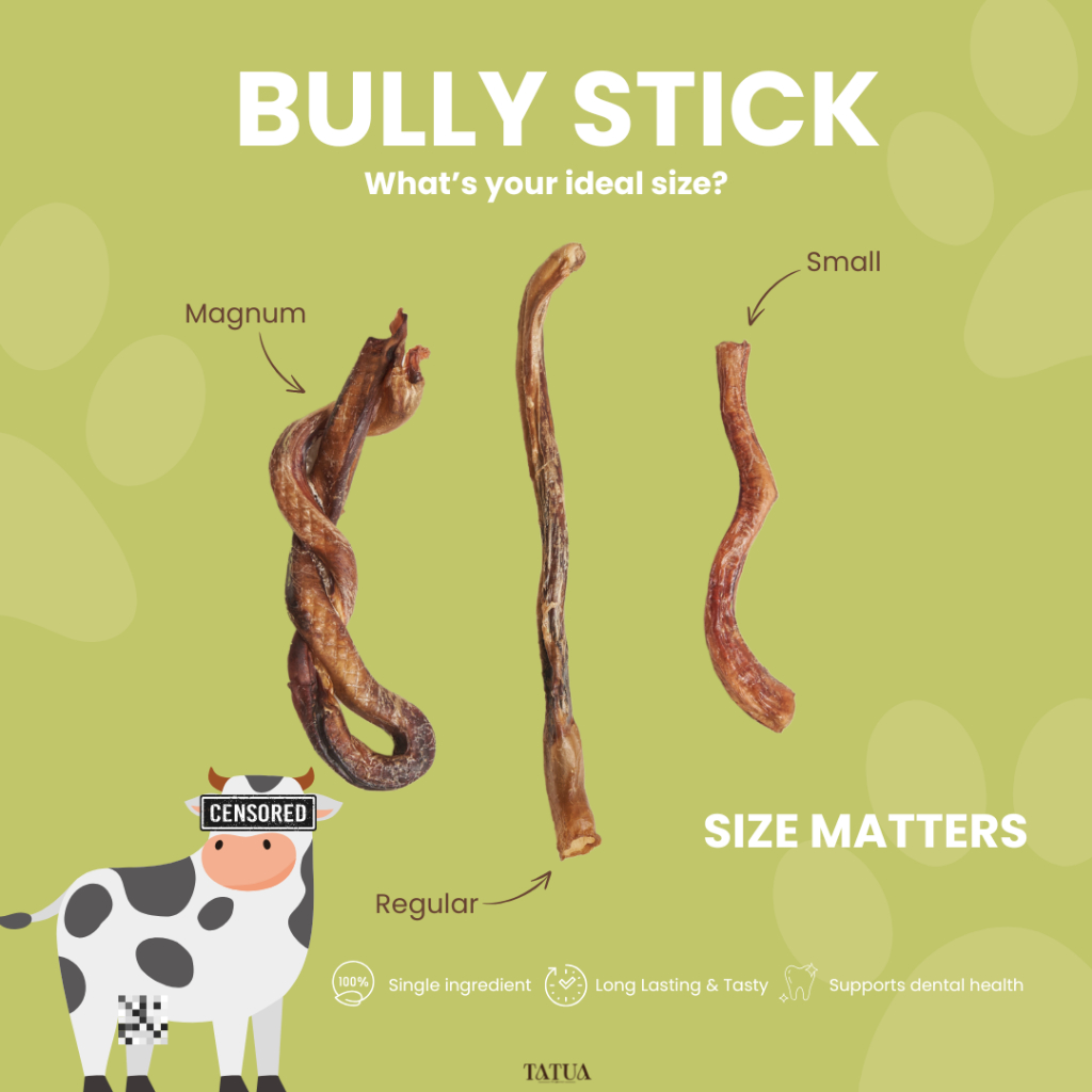 TATUA - Bully Stick ตัวเดียวอันเดียววัวอบแห้ง ขนมสำหรับสุนัข ช่วยขัดฟัน ลดหินปูน มี 3 SIZE